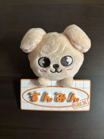 스키즈 네임 백참 빠삠 승민