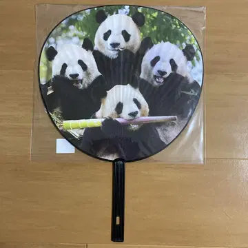 어드벤처 월드 팬더 부채