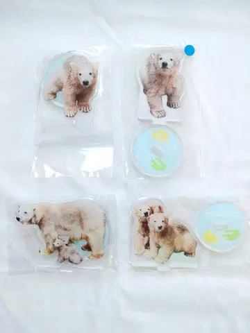 야기야마 동물 공원 쌍둥이 북극곰 아크릴 스탠드 세트