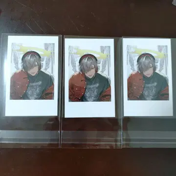 Crazy Raccoon 락의 날 달마이즈고도 폴라로이드