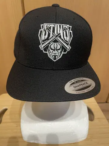 초레어 AEW 스팅 STING Justice 캡