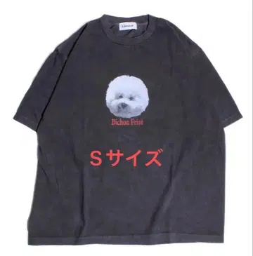 GLOSTER 글로스터 개 프린트 피그먼트 티셔츠 비숑 프리제 S