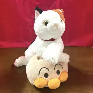 Sunlemon ORIGINAL '무릎 고양이' 삼색 고양이