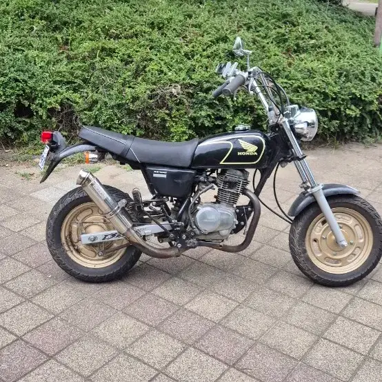 HONDA | 혼다 Honda Ape 100 (xz100,ape100) #혼다,#xz100,#ape100