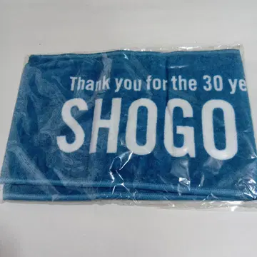 하마다 쇼고 30주년 기념 타월