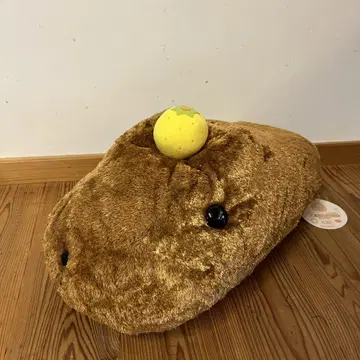 제일복권 카피바라 씨 A상 카피바라 씨 봉제 인형 유자 헤이세이 레트로