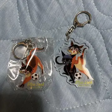 블루 록 하치라쿠 카즈요시 검은 고양이 디자인