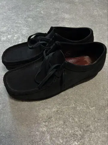 클락스 왈라비