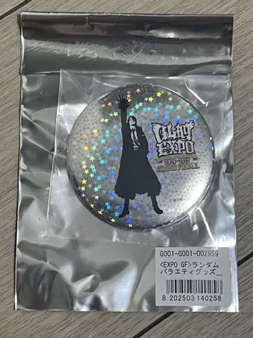 GLAY 랜덤 버라이어티 굿즈 캔뱃지 TERU