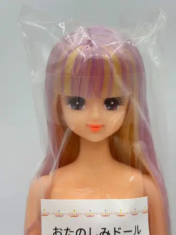 마린 리카짱 캐슬 오타노시미 인형 담 퍼플 계열 제니 프렌드