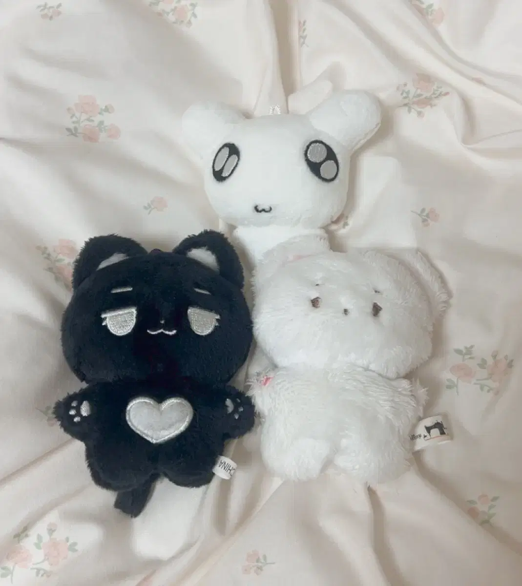 Bulk) Boynextdoor Doll Boynextdoor Doll Sani Ddeongmeong Somyihan