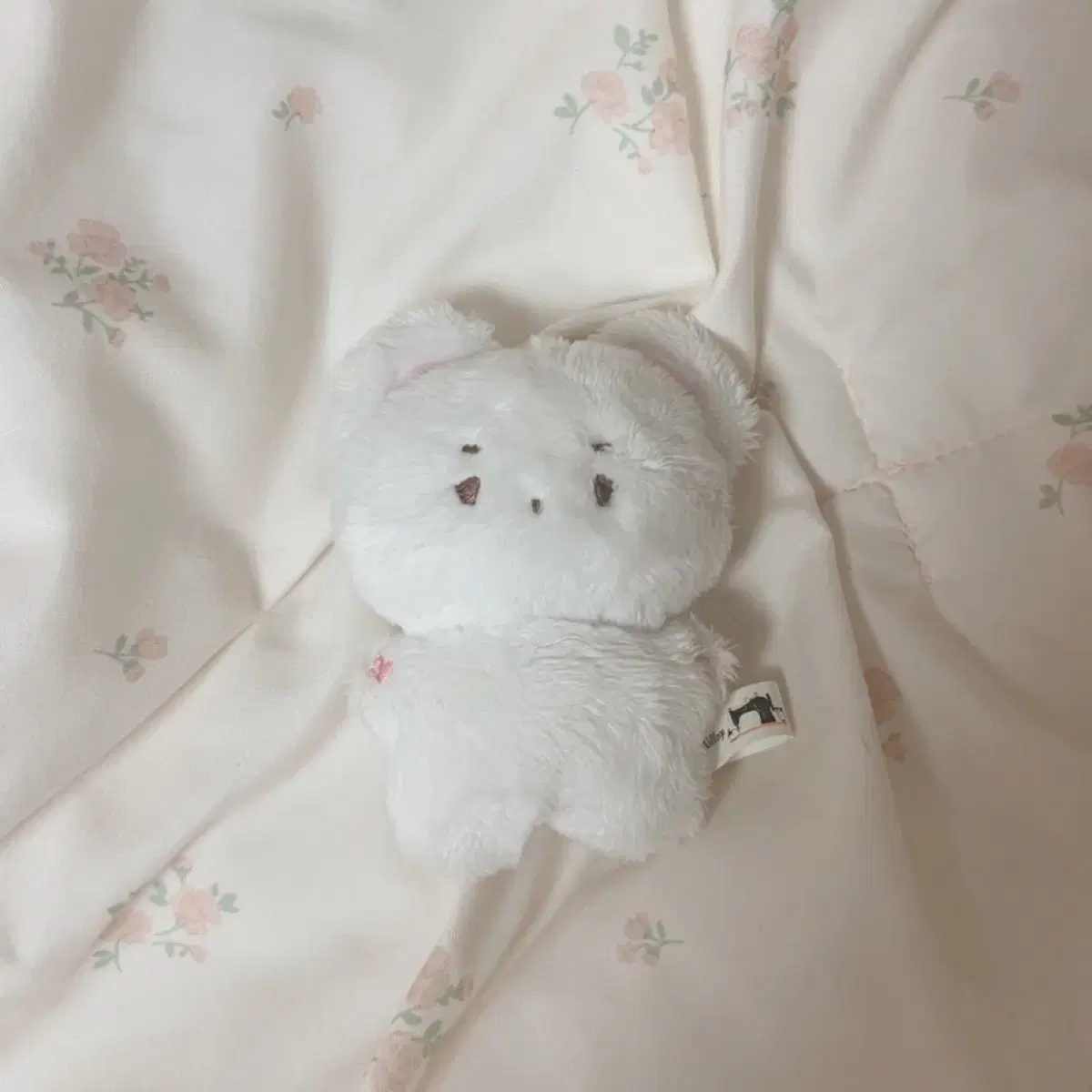 Somyi han boynextdoor doll Boynextdoor han
