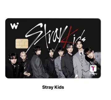 Straykids 스키즈 wowpass 와오패스 straykids
