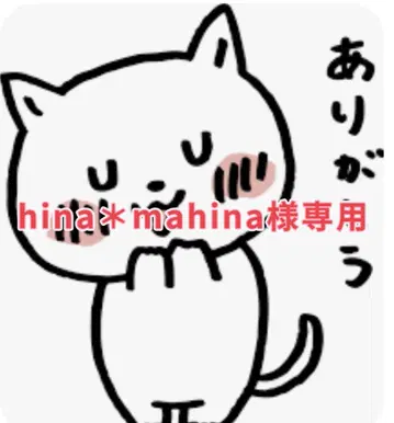 ANA 로얄 하와이안 빅 파우치