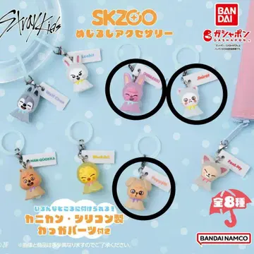 skzoo 메지루시 액세서리 3세트