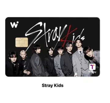 Straykids 스키즈 wowpass 와오패스 멤버 올 ALL