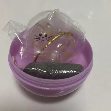 우리 아이의 케다마다마 C-pla 한정판 녹 고양이 시프라