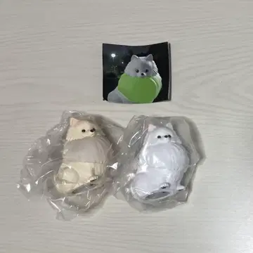 산책 포메 라이트 세트
