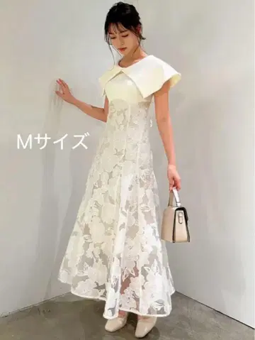 dazzlin 오팔 플라워 코르셋 원피스