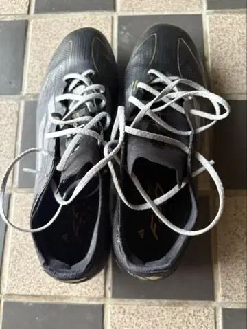 F50 FG