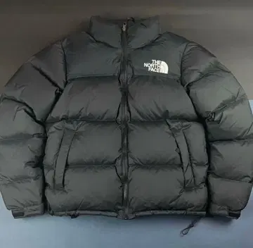 The North Face Nuptse Jacket 눕시 700 필