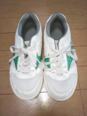 MIZUNO 미즈노 체육관 신발 실내화 25cm