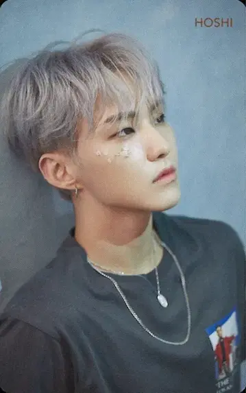 SEVENTEEN HMV HOSHI 흩날리는 꽃잎 Blue