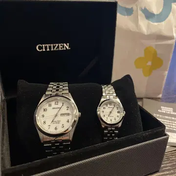 CITIZEN REGUNO 페어 워치