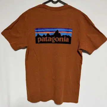 Patagonia 브라운 티셔츠 산 그래픽 사이즈 M 홍차 브라운