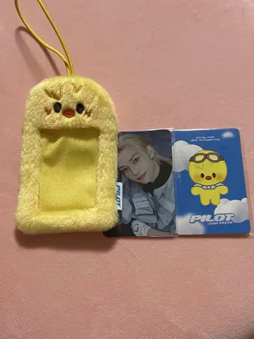 Straykids 필릭스 Felix 파이롯트 BbokAri