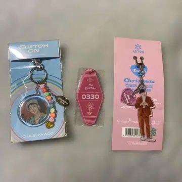 CHA EUN-WOO 키링 3세트