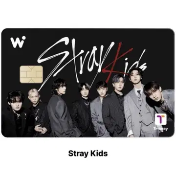 straykids wowpass 올