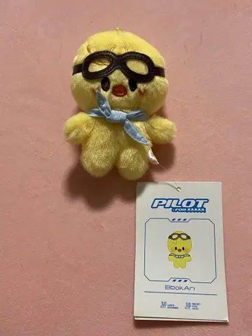 Straykids Felix BbokAri 파이롯트 10cm 봉제 인형
