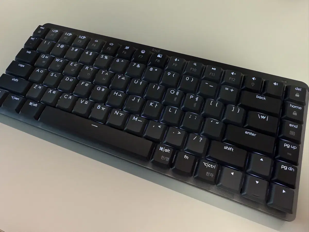 로지텍 MX Mechanical Mini