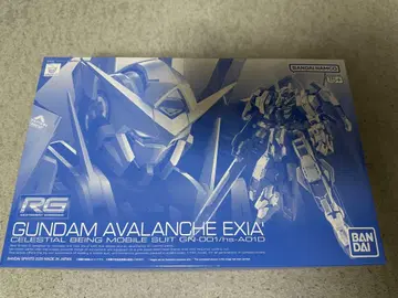 RG 1/144 건담 아바란치 엑시아 돌진