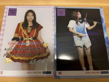 Juice=Juice 아리사와 이치카 컬렉션 브로마이드