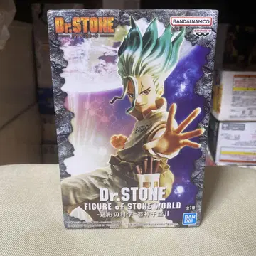 Dr. STONE FIGURE of STONE WORLD 이시가미 센쿠