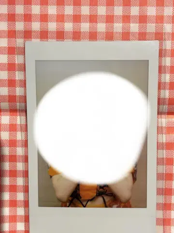 이긴나리 도호쿠산 벚꽃 히나노 폴라로이드