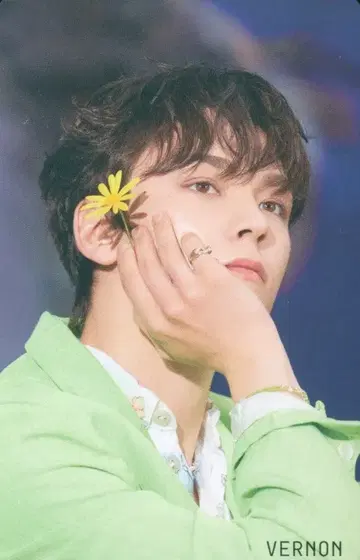 SEVENTEEN HMV 버논 섹터 17 컴팩트