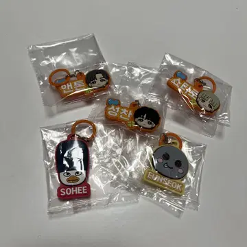 RIIZE 푹신한 메지루시 액세서리 5종 세트