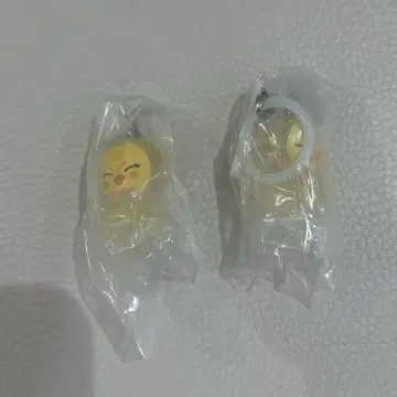 스키즈 skzoo 메지루시 액세서리 포가리 세트