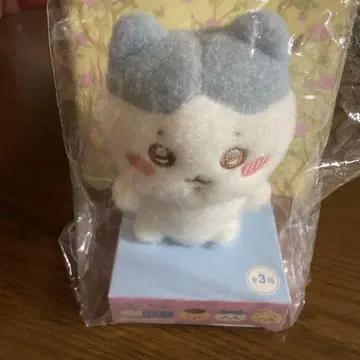 치이카와 하치와레 피타레스토