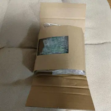 제일복권 파충류 및 양서류 레프타일즈 헤드 마그넷 카멜레온