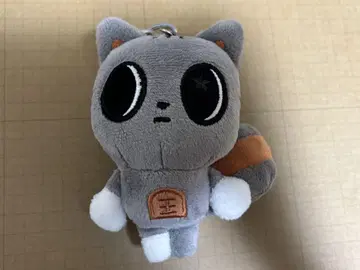 다고냥 태현