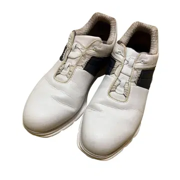 FOOT JOY 풋조이 53090J 골프화