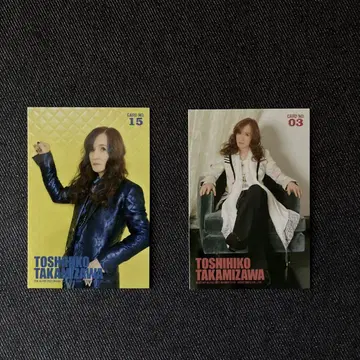 THE ALFEE 타카미자와 토시히코 트레이딩 카드 2장 세트