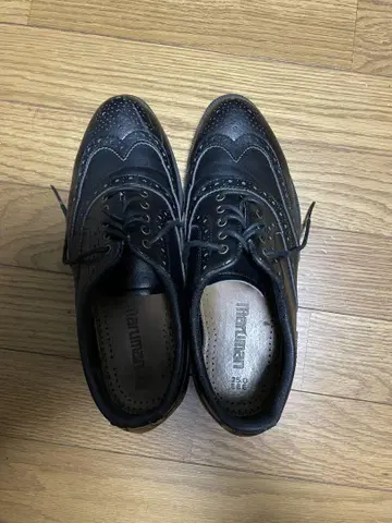골프화 신발 케이스 포함