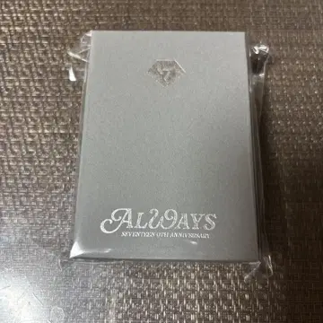 SEVENTEEN 9주년 목걸이 미개봉