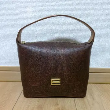 에트로 베니티 백 핸드백