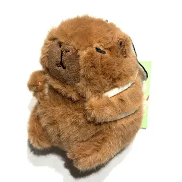 한국 카피바라 굴 키링 키홀더 마스코트 봉제 인형 건욱